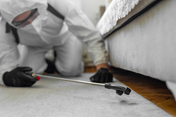 Professional Termite Control technician working in Crawford, GA