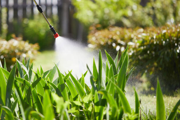 24/7 Emergency Termite Control experts in Crawford, GA